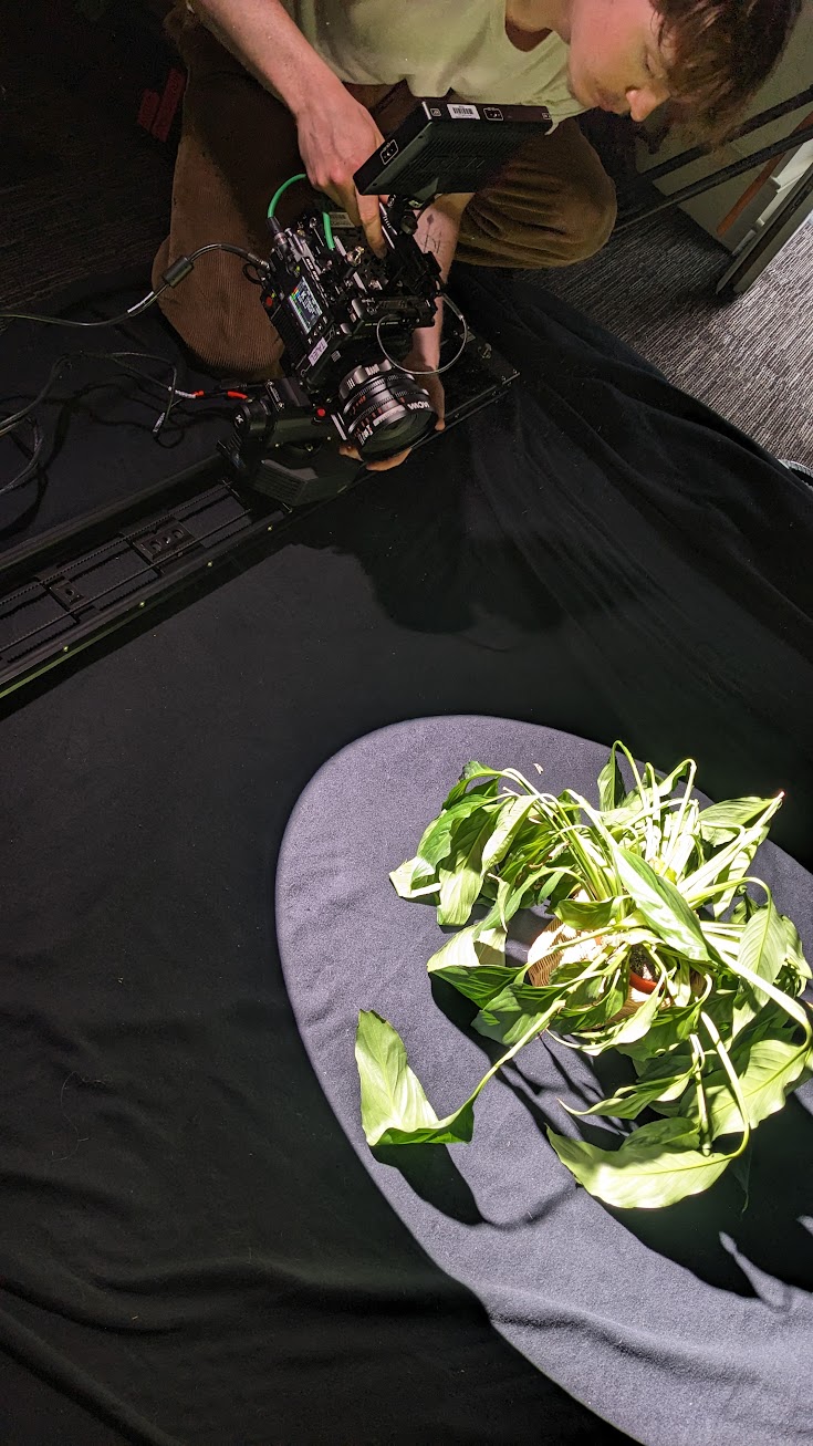 Charlie Hedger operates a cinema camera on an automated slider. In front of him a spotlight illuminates a Peace Lily.